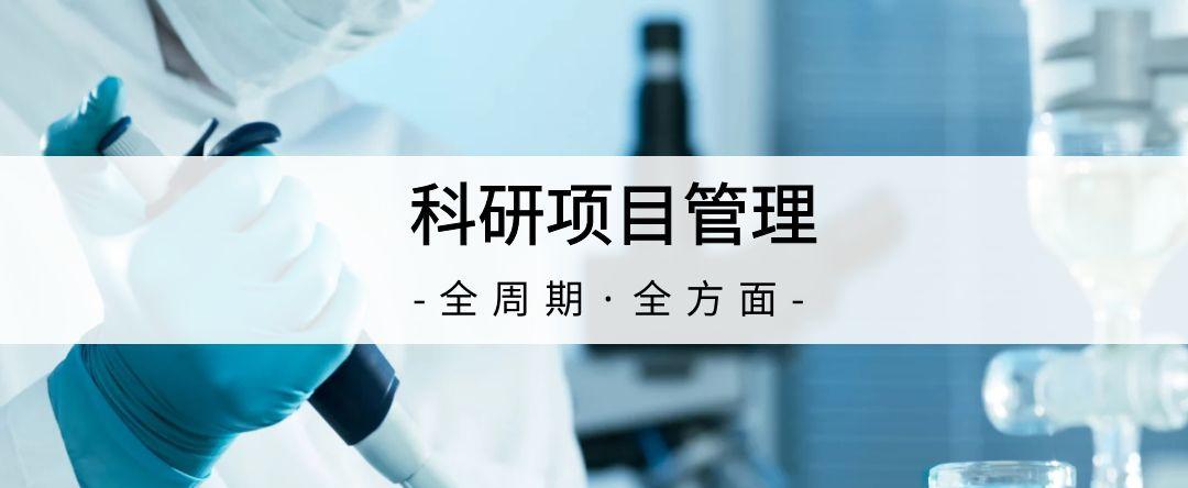 如何利用科研項目管理系統提高項目執行效率？