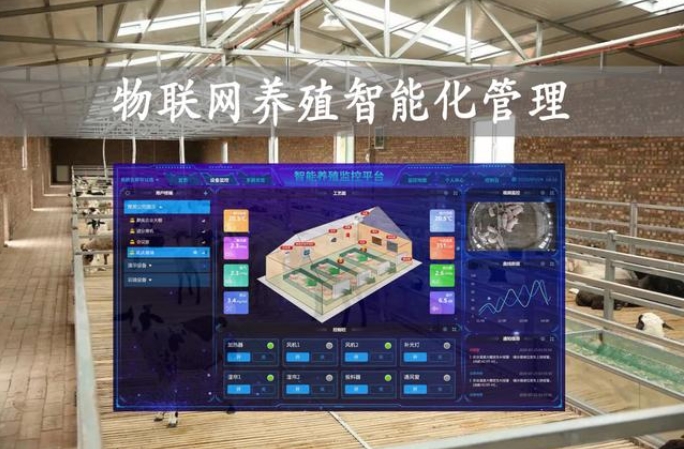 智慧養殖解決方案功能：開啟養殖新時代，賦