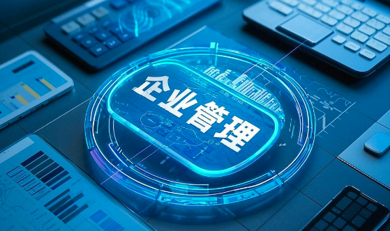 企業(yè)信息化開(kāi)發(fā)的好處以及優(yōu)勢(shì)